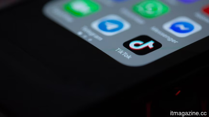 TikTok is discreetly developing a super app that includes shopping, hotel reservations, financial technology, and sports features.