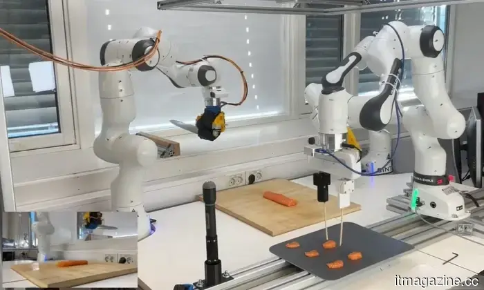Il robot Sashimi è reale e non sbaglia a affettare e tagliare.