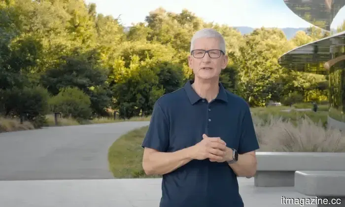 Apple has a strategy to address its memory chip issue; however, the US government has rejected it.