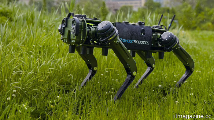 Taiwan unveils robotic patrol dogs that may protect its islands in the South China Sea.