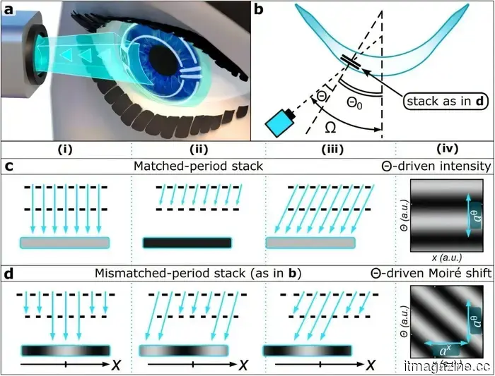 Next-generation contact lenses offer advanced eye-tracking capabilities without the need for expensive equipment.