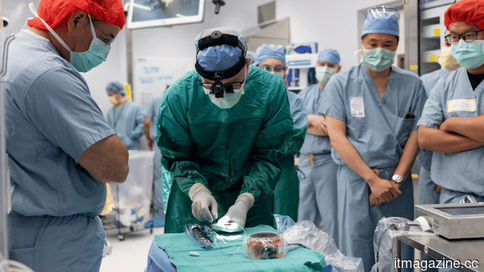 Paradromics has implanted a brain chip in its initial patient.