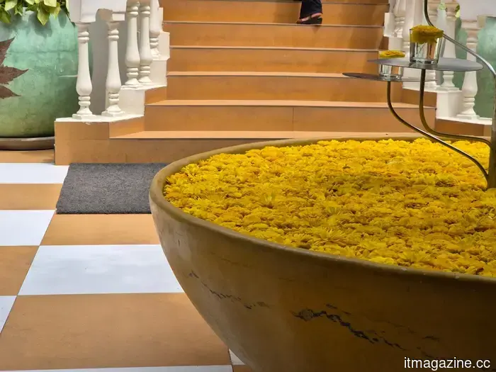 Samsung Galaxy S26 Review: This small flagship seems to be playing it a bit too safe.