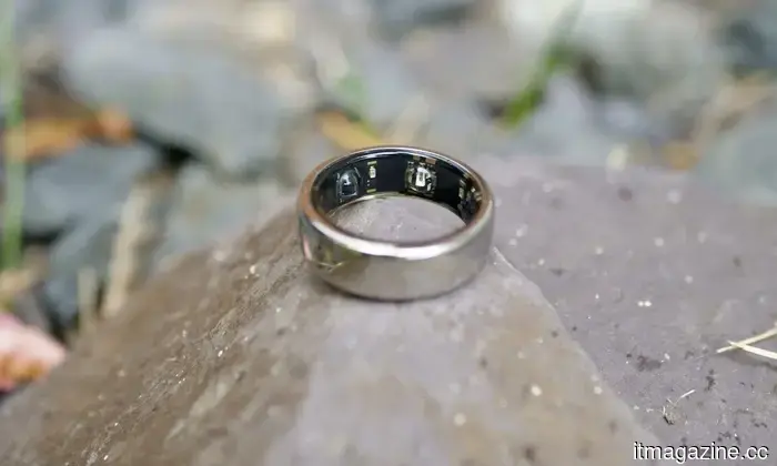 Oura discloses the two activities that its smart ring mistakenly interprets as being involved in unsanitary bed activities.