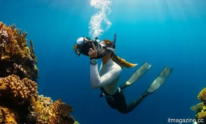 Microsoft aims for AI to identify hackers before they launch an attack.
