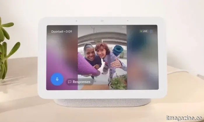 The Interactive Storytime feature of Google Home makes me curious about who really requested this.