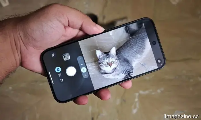 I used the Magic Capture feature on my cat with the Pixel 11 Pro, and I adore every funny shot.