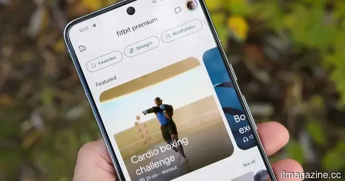 Fitbit's new update transforms your app into a chat-based personal trainer.