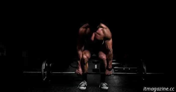 How AI could help you become fitter than ever by 2026.