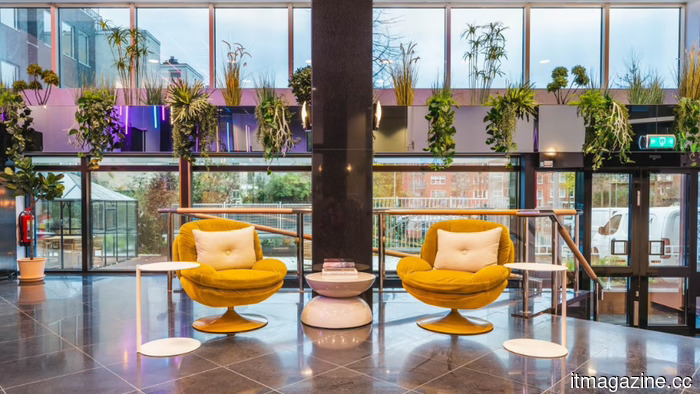 TNW, Oneflow e Flexas stanno organizzando una serata di networking gratuita ad Amsterdam.