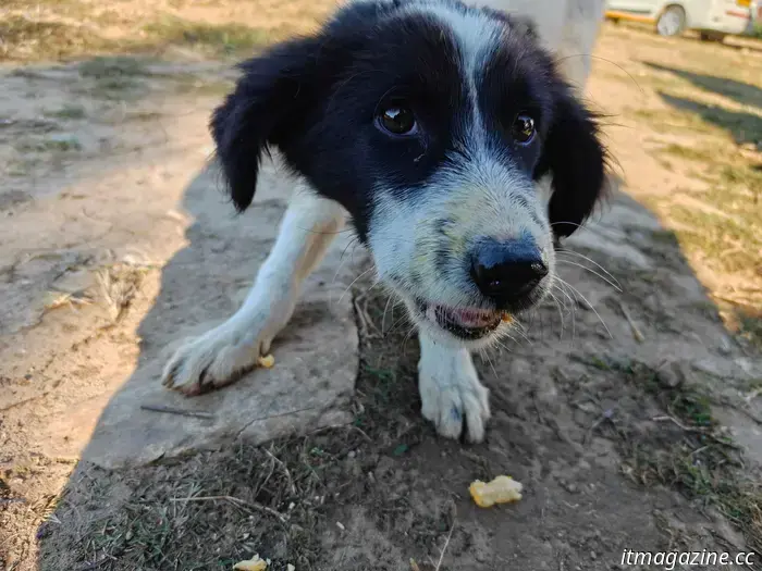 Ho recensito il OnePlus 15 e non voglio separarmene.