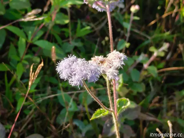 Ho recensito il OnePlus 15 e non voglio separarmene.