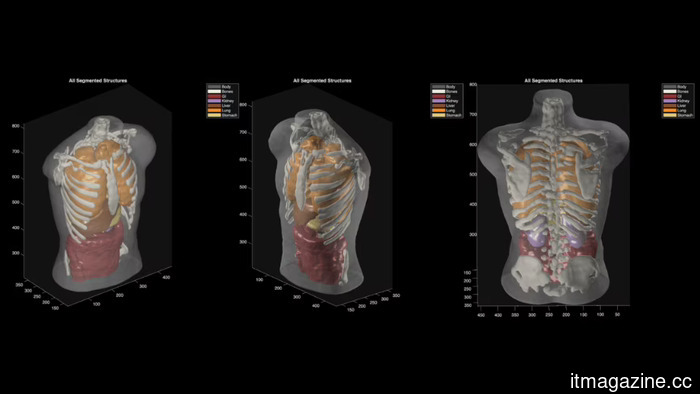 Midjourney's full-body scanner: significant promises, no proven history.