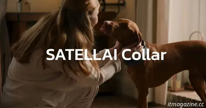 Track, Train, Thrive: il collare intelligente che sta ridefinendo la genitorialità dei cani