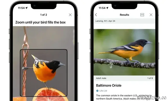 The Merlin Bird ID app is now aiming to create a worldwide database of our disappearing avian companions.