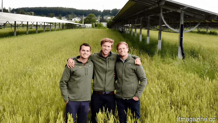 Feldwerke secures a €12M revolving credit line to support a 100 MW agri-PV rollout.