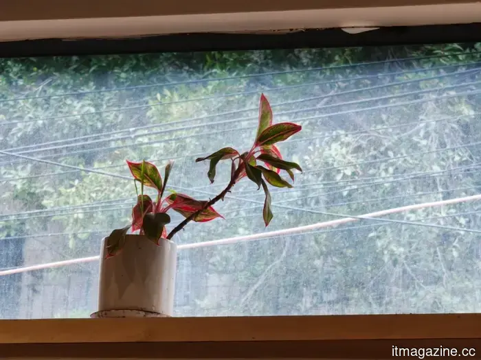 I spent a day using the Xiaomi 17T Pro, and the Leica cameras made each shot enticing.