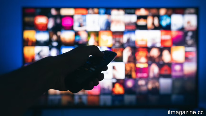 Italian law enforcement has confiscated a piracy application that illegally broadcast Sky, DAZN, and Netflix by using stolen legitimate accounts.