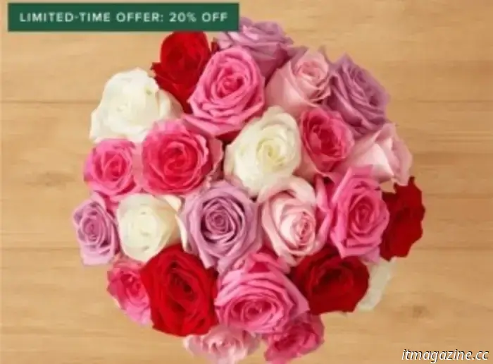 I won't be ordering flowers from any other place: here's why Bouqs is the genuine article.