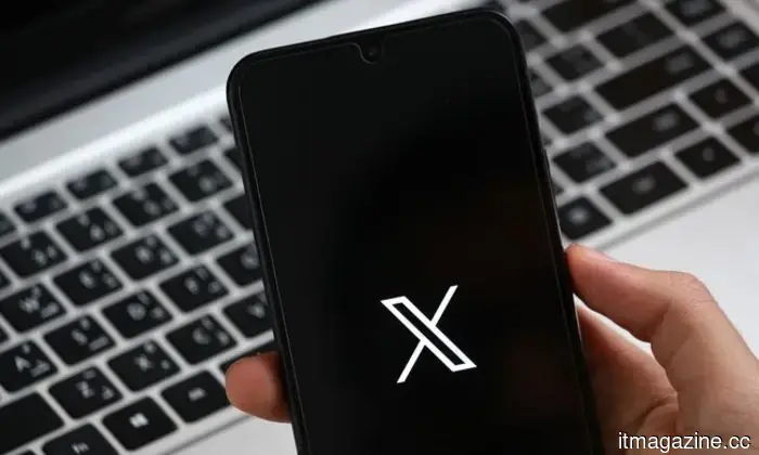 Dimentica il doomscrolling, la Gen Z ora scorre per uccelli su TikTok