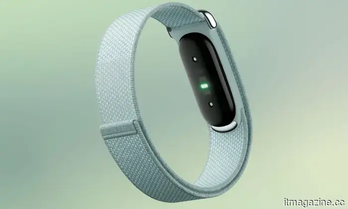Google's Fitbit Air is a $99 competitor to Whoop that lacks a screen, and its essential functions do not require a subscription.