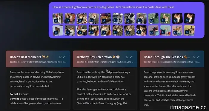 Adobe has introduced an AI assistant to assist you with edits in Photoshop, Express, and Acrobat Reader.