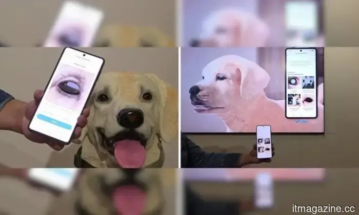 L'iPhone pieghevole non è stato lanciato, ma Apple sta già pianificando il suo successore.