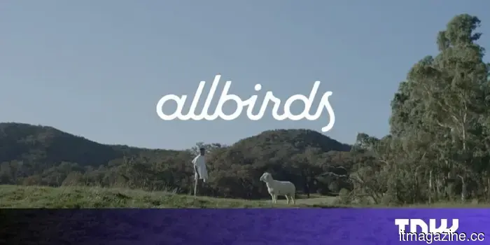 Allbirds is offering all its assets for $39 million.