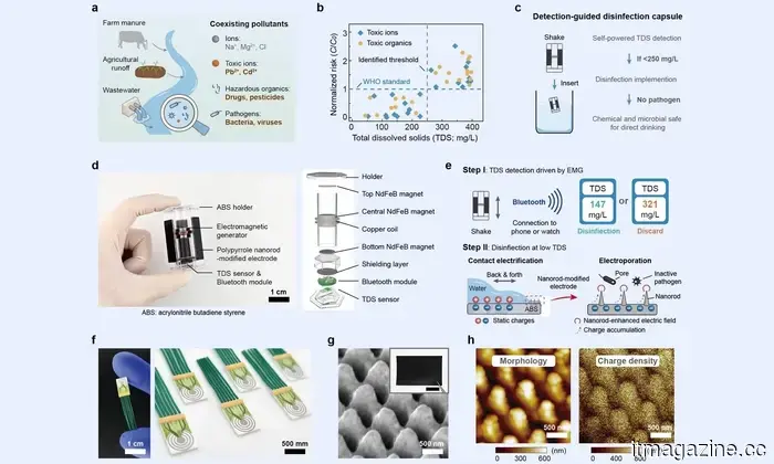 A self-powered shaking capsule demonstrates the future of secure drinking water right at our fingertips.