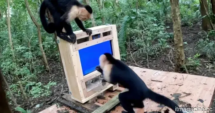 AI is not merely being imposed on us; even monkeys in the forest are now part of the test audience for scientific research.