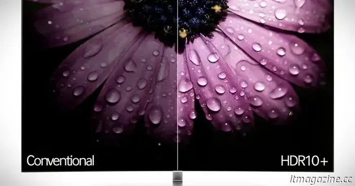 Netflix ha cancellato la mia unica esitazione sull'acquisto di un TELEVISORE OLED Samsung