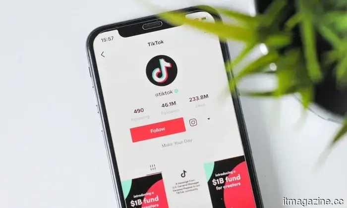 TikTok может вскоре позволить вам отправлять деньги прямо через личные сообщения.