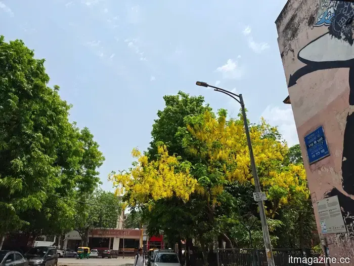 I took the Motorola Razr Fold out for street photography and was truly impressed by its performance.