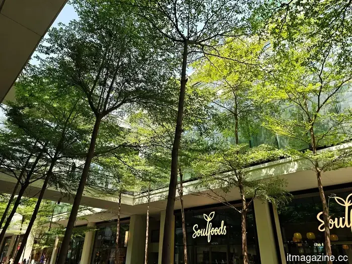 I tried out the camera on the Xiaomi 17 Ultra, and I doubt I will return to using an iPhone.