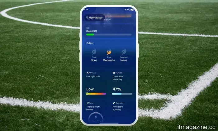 Samsung Weather now clearly indicates what is causing your sneezing.