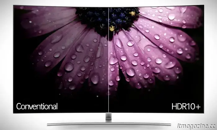 Netflix ha cancellato la mia unica esitazione sull'acquisto di un TELEVISORE OLED Samsung