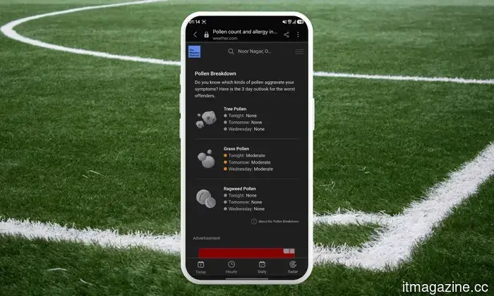Samsung Weather now clearly indicates what is causing your sneezing.