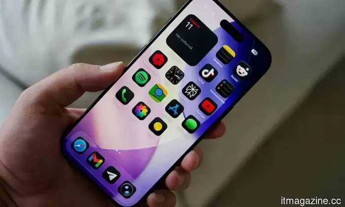 Apple has a strategy to address its memory chip issue; however, the US government has rejected it.