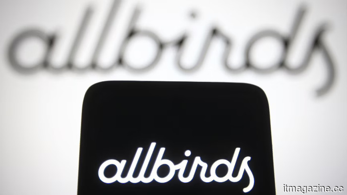 Allbirds changes its name to Smartbird as it shifts focus to AI.