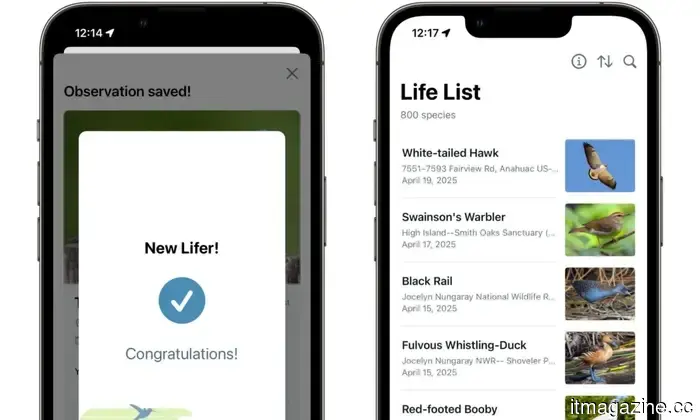 The Merlin Bird ID app is now aiming to create a worldwide database of our disappearing avian companions.