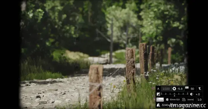 Lushfoil Photography Sim aims to transform everyone into photographers.