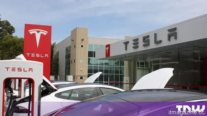 Tesla Discreetly Activates Power Export Feature on Its Top-Selling Electric Vehicle