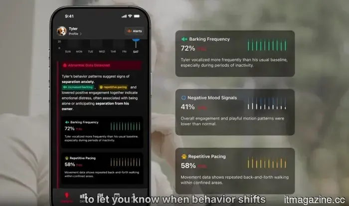 Beyond just a tracker, SATELLAI aims to transform the concept of intelligent pet care.