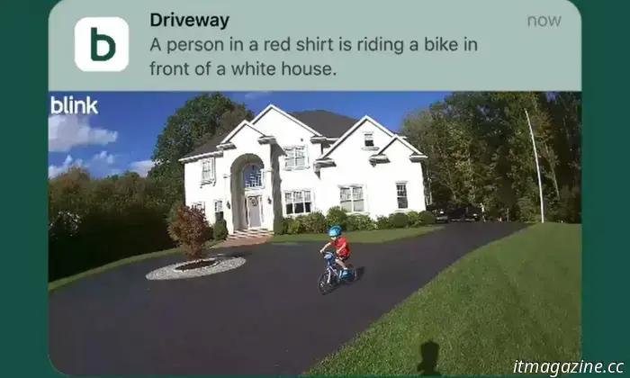 Blink cameras provide AI-driven notifications that accurately inform you about ongoing events.