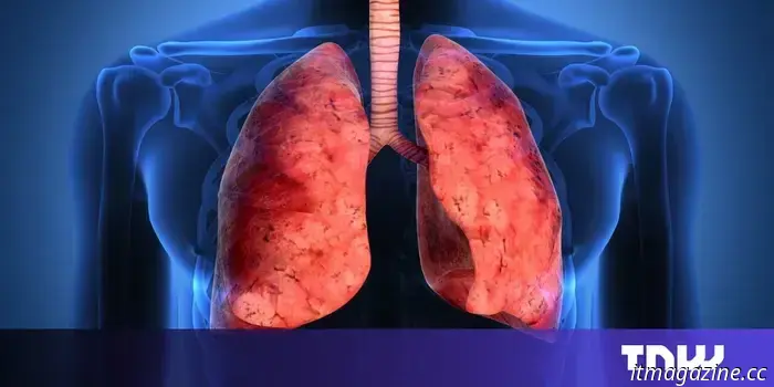 Startup working on skin regeneration states that bioprinted organs are "10–15 years away."