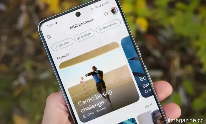Fitbit's newest update transforms your app into a chat-based personal trainer.