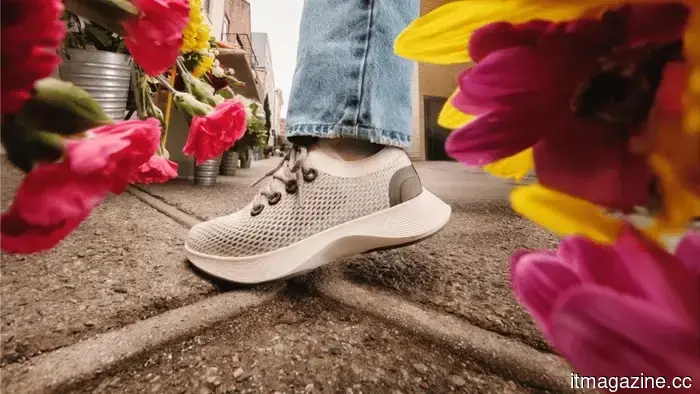Allbirds rebrands itself as NewBird AI and shifts its focus from footwear to GPU cloud computing.