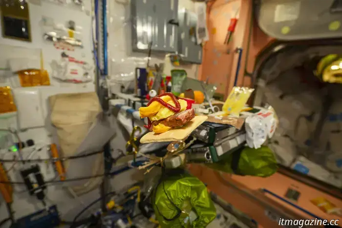 Así es como un astronauta hizo una hamburguesa que está fuera de este mundo