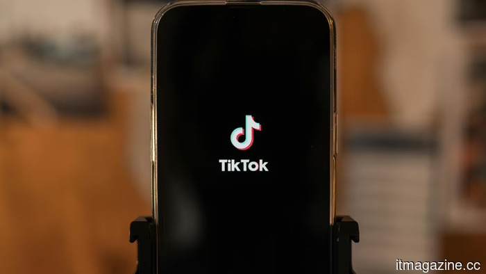 TikTok и YouTube удалили 4,7 миллиона аккаунтов пользователей младше 16 лет в Индонезии
