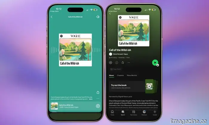 Spotify ha appena reso più facile recuperare lunghi articoli senza doverli effettivamente leggere.
